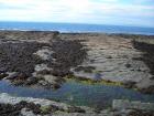 Wave cut platform incised into the jointed and gently rippled bedding plane surface of the Ross Formation sandstones exposed on the foreshore of Kilbaha Bay.