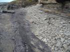 Wave cut platform incised into the bedding plane surface of the Ross Formation sandstones exposed on the foreshore of Kilbaha Bay. The surface shows potential evidence of megaflutes and a cover of rounded boulders and pebbles. Note the channeled sands in the low cliffs above.