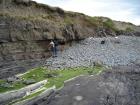 Wave cut platform incised into the Ross Formation sandstones exposed on the foreshore of Kilbaha Bay. Surface cover of rounded boulders and pebbles heaped against the channeled sands of the low cliffs above.