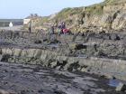 West end of Kilbaha Bay with outcrop of channeled Mid-Ross Sandstone Formation in the low cliffs in the background with Keatings bar in distance. In the forground is the wave cut pavement of the intertidal zone. Also note Pleistocene glacial drift at top section filled the Pleistocene eroded surface of the Carboniferous.