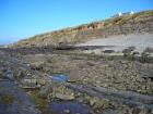 West end of Kilbaha Bay with outcrop of channeled Mid-Ross Sandstone Formation in the low cliffs above the wave cut pavement of the intertidal zone with rounded blocks and pebbles heaped over this. Also note Pleistocene glacial drift at top section filled the Pleistocene eroded surface of the Carboniferous.