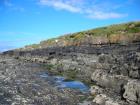 Kilbaha Bay details of outcrop of channeled Mid-Ross Sandstone Formation in the low cliffs above the wave cut pavement of the intertidal zone,