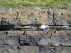 Amalgamated channeled sand lobes with some interbedded overbank thin shales of Ross Fm West Kilbaha Bay