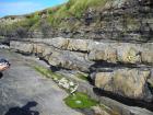 In forground to the right is a megaflute scour in the channeled sand lobes Ross Fm West Kilbaha Bay. Above are Interbedded channeled sand lobes and overbank shales.