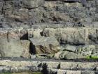 Amalgamated sands of channel margin in the channeled lobe of the Ross Formation of West Kilbaha, over other thinner interbedded sand lobes.