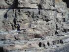 Detail of channel margin in the channeled sand lobes of the amalgamated Ross Formation of West Kilbaha Bay.