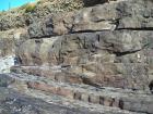 Detail of channel margin in the channeled sand lobes of the amalgamated Ross Formation of West Kilbaha Bay. Above are gravels of Pleistocene glacial drift.