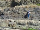 Channel margin in the channeled sand lobes of the Ross Formation of West Kilbaha Bay. Note Pleistocene glacial drift at top section filled the Pleistocene eroded surface of the Carboniferous.