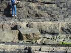 Top of section is a channel margin in the amalgamated channeled sand lobe of the Ross Formation of West Kilbaha Bay. Below are thinner bedded amalgamated channeled sand lobes of Ross Formation. Note shaley partings of overbank setting interbedded with the channel sands.