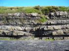 At top of section are interbedded amalgamated sands of deepwater channeled sand lobes. At base of section is a megaflute in the Ross Formation on the West side of Kilbaha Bay.