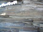 Deepwater sand beds with some dewatering deformation and interbedded with thin flaser bedded and rippled sands and thin muds of the Ross Formation of the west side of Kilbaha Bay.