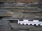 Deepwater sand beds with some dewatering deformation and interbedded with thin flaser bedded and rippled sands and thin muds of the Ross Formation of the west side of Kilbaha Bay.