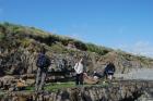 Deepwater channeled sands of the Ross Formation interbedded with shale above the wave-cut platform in the east of Kilbaha Bay. Note storm surge beach gravels heaped against cliff to the right and the vegitated Pleistocene glacial drift gravels at top of section.