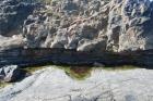 Amalgamated deepwater channeled sands of the Ross Formation interbedded with shale. At base of the ledge is a chute scour surface beneath the deepwater channel fill.