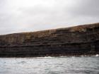 Kilclogher Cliffs exposing deepwater sandstone lobes of the Ross Formation. At the base of the section is a thicker amalgamated sand of a deepwater lobe but immediately above, in the lower section, are thinner bedded more distal portions of lobes. Above are thicker bedded sands more proximal to the axies of deepwater lobes.