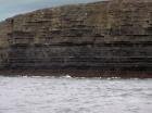 Kilclogher Cliffs exposing deepwater sandstone lobes of the Ross Formation. In the section below are thinner bedded more distal portions of lobes while above are thicker bedded sands towards axies of the lobes.