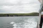 East of the Kilclogher Cliffs in the vicinity of the Rehy Cliffs exposing deepwater sandstone lobes of the Ross Formation. Thicker bedded amalgamated channeled sands proximal to the axies of deepwater lobes interbedded with lobe and channel wing sands. A monocline is off-center to left.