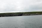 East end of the Kilclogher Cliffs exposes the deepwater sandstone lobes of the Ross Formation. Thicker bedded amalgamated channeled sands represent the proximal axies of deepwater lobes interbedded with lobe and channel wing sands. A monocline to right dips towards viewer.