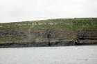 Kilclogher Cliffs exposing deepwater sandstone lobes of the Ross Formation. At the base of the section are thinner bedded more distal portions of lobes subdivided by a dense amalgamated lobe of sand. Above in grass cover are thicker bedded channeled sands more proximal to the axies of deepwater lobes.