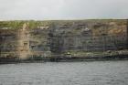 Kilclogher Cliffs exposing deepwater sandstone lobes of the Ross Formation. At the base of the section are thinner bedded more distal portions of lobes subdiveded by a thicker bedded amalgamated channeled sand. Above in and below the grass cover are thicker bedded amalgamated channeled sands more proximal to the axies of deepwater lobes.