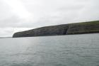 Western portionof the Kilclogher Cliffs exposing deepwater sandstone lobes of the Ross Formation. At the base of the section is a thicker amalgamated of a chnannel axies and above this are thinner bedded more distal portions of lobes. Above are thicker bedded amalgamated channeled sands more proximal to the axies of deepwater lobes.