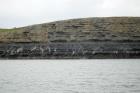 Kilclogher Cliffs exposing deepwater sandstone lobes of the Ross Formation. Note basal thicker bedded unit of more proximal character and potentially amalgamated channeling overlain by a section of thinner bedded more distal portions of lobes. Above are thicker bedded sands, some channeled, towards axies of the lobes.