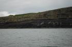 Kilclogher Cliffs exposing deepwater sandstone lobes of the Ross Formation. In the section below are thinner bedded more distal portions of lobes, while above are thicker bedded sands. Note channeling and amalgamation towards the left and west.