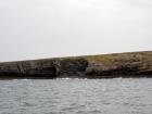 Kilcredaun Cliffs in the vicinity of the Kilcredaun lighthouse. Outcropping in these cliffs are thin bedded turbidite channel fill and turbidite sand lobes in the Upper Carboniferous Namurian Ross Formation. Photographs taken from the fishing vessel Draiocht out of Carrigaholt on the northern shore of the Shannon Estuary.