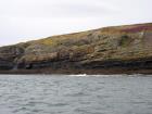 Kilcredaun Cliffs in the vicinity of the Kilcredaun lighthouse. Outcropping in these cliffs are thin bedded turbidite channel fill and turbidite sand lobes in the Upper Carboniferous Namurian Ross Formation. Photographs taken from the fishing vessel Draiocht out of Carrigaholt on the northern shore of the Shannon Estuary.