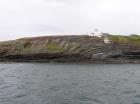 Kilcredaun Cliffs in the vicinity of the Kilcredaun lighthouse. Outcropping in these cliffs are thin bedded turbidite channel fill and turbidite sand lobes in the Upper Carboniferous Namurian Ross Formation. Photographs taken from the fishing vessel Draiocht out of Carrigaholt on the northern shore of the Shannon Estuary.