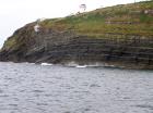 Kilcredaun Cliffs in the vicinity of the Kilcredaun lighthouse. Outcropping in these cliffs are thin bedded turbidite channel fill and turbidite sand lobes in the Upper Carboniferous Namurian Ross Formation. Photographs taken from the fishing vessel Draiocht out of Carrigaholt on the northern shore of the Shannon Estuary.