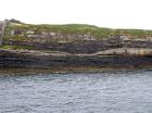 Kilcredaun Cliffs in the vicinity of the Kilcredaun lighthouse. Outcropping in these cliffs are thin bedded turbidite channel fill and turbidite sand lobes in the Upper Carboniferous Namurian Ross Formation. Photographs taken from the fishing vessel Draiocht out of Carrigaholt on the northern shore of the Shannon Estuary.