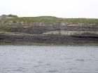 Kilcredaun Cliffs in the vicinity of the Kilcredaun lighthouse. Outcropping in these cliffs are thin bedded turbidite channel fill and turbidite sand lobes in the Upper Carboniferous Namurian Ross Formation. Photographs taken from the fishing vessel Draiocht out of Carrigaholt on the northern shore of the Shannon Estuary.