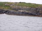 Kilcredaun Cliffs in the vicinity of the Kilcredaun lighthouse. Outcropping in these cliffs are thin bedded turbidite channel fill and turbidite sand lobes in the Upper Carboniferous Namurian Ross Formation. Photographs taken from the fishing vessel Draiocht out of Carrigaholt on the northern shore of the Shannon Estuary.