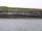 Kilcredaun Cliffs in the vicinity of the Kilcredaun lighthouse. Outcropping in these cliffs are thin bedded turbidite channel fill and turbidite sand lobes in the Upper Carboniferous Namurian Ross Formation. Photographs taken from the fishing vessel Draiocht out of Carrigaholt on the northern shore of the Shannon Estuary.