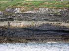 Kilcredaun Cliffs in the vicinity of the Kilcredaun lighthouse. On land and close up images of sediments in these cliffs show thin bedded turbidite channel fill and turbidite sand lobes in the Upper Carboniferous Namurian Ross Formation. Photographs taken by Chistopher kendall and Peter Haughton on the wave cut ledges of northern shore of the Shannon Estuary.