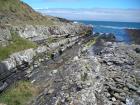 Kilcredaun Cliffs in the vicinity of the Kilcredaun lighthouse. On land and close up images of sediments in these cliffs show thin bedded turbidite channel fill and turbidite sand lobes in the Upper Carboniferous Namurian Ross Formation. Photographs taken by Chistopher kendall and Peter Haughton on the wave cut ledges of northern shore of the Shannon Estuary.