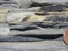 Kilcredaun Cliffs in the vicinity of the Kilcredaun lighthouse. On land and close up images of sediments in these cliffs show thin bedded turbidite channel fill and turbidite sand lobes in the Upper Carboniferous Namurian Ross Formation. Photographs taken by Chistopher kendall and Peter Haughton on the wave cut ledges of northern shore of the Shannon Estuary.