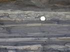 Kilcredaun Cliffs in the vicinity of the Kilcredaun lighthouse. On land and close up images of flazer structures and small slumps in thin bedded turbidite overbank and channel fill in the Upper Carboniferous Namurian Ross Formation. Photographs taken by Chistopher kendall and Peter Haughton on the wave cut ledges of northern shore of the Shannon Estuary.