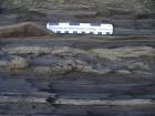 Kilcredaun Cliffs in the vicinity of the Kilcredaun lighthouse. On land and close up images of sediments in these cliffs show thin bedded turbidite channel fill and turbidite sand lobes in the Upper Carboniferous Namurian Ross Formation. Photographs taken by Chistopher kendall and Peter Haughton on the wave cut ledges of northern shore of the Shannon Estuary.