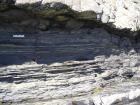 Kilcredaun Cliffs in the vicinity of the Kilcredaun lighthouse. On land and close up images of sediments in these cliffs show thin bedded turbidite channel fill and turbidite sand lobes in the Upper Carboniferous Namurian Ross Formation. Photographs taken by Chistopher kendall and Peter Haughton on the wave cut ledges of northern shore of the Shannon Estuary.