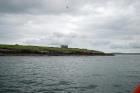 Kilcredaun Cliffs exposing thin bedded turbidite channel fill and turbidite sand lobes in the Upper Carboniferous Namurian Ross Formation. Photographs taken from the fishing vessel Draiocht out of Carrigaholt on the northern shore of the Shannon Estuary.