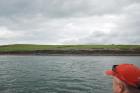 Kilcredaun Cliffs exposing thin bedded turbidite channel fill and turbidite sand lobes in the Upper Carboniferous Namurian Ross Formation. Photographs taken from the fishing vessel Draiocht out of Carrigaholt on the northern shore of the Shannon Estuary.