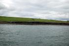 Kilcredaun Cliffs exposing thin bedded turbidite channel fill and turbidite sand lobes in the Upper Carboniferous Namurian Ross Formation. Photographs taken from the fishing vessel Draiocht out of Carrigaholt on the northern shore of the Shannon Estuary.