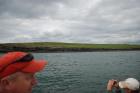 Kilcredaun Cliffs exposing thin bedded turbidite channel fill and turbidite sand lobes in the Upper Carboniferous Namurian Ross Formation. Photographs taken from the fishing vessel Draiocht out of Carrigaholt on the northern shore of the Shannon Estuary.