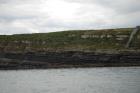 Kilcredaun Cliffs in the vicinity of the Kilcredaun lighthouse. Outcropping in these cliffs are thin bedded turbidite channel fill and turbidite sand lobes in the Upper Carboniferous Namurian Ross Formation. Photographs taken from the fishing vessel Draiocht out of Carrigaholt on the northern shore of the Shannon Estuary.