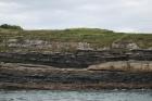 Kilcredaun Cliffs in the vicinity of the Kilcredaun lighthouse. Outcropping in these cliffs are thin bedded turbidite channel fill and turbidite sand lobes in the Upper Carboniferous Namurian Ross Formation. Photographs taken from the fishing vessel Draiocht out of Carrigaholt on the northern shore of the Shannon Estuary.