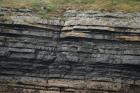 Kilcredaun Cliffs in the vicinity of the Kilcredaun lighthouse. Outcropping in these cliffs are thin bedded turbidite channel fill and turbidite sand lobes in the Upper Carboniferous Namurian Ross Formation. Photographs taken from the fishing vessel Draiocht out of Carrigaholt on the northern shore of the Shannon Estuary.