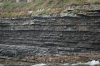 Kilcredaun Cliffs in the vicinity of the Kilcredaun lighthouse. Outcropping in these cliffs are thin bedded turbidite channel fill and turbidite sand lobes in the Upper Carboniferous Namurian Ross Formation. Photographs taken from the fishing vessel Draiocht out of Carrigaholt on the northern shore of the Shannon Estuary.