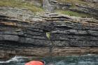 Kilcredaun Cliffs in the vicinity of the Kilcredaun lighthouse. Outcropping in these cliffs are thin bedded turbidite channel fill and turbidite sand lobes in the Upper Carboniferous Namurian Ross Formation. Photographs taken from the fishing vessel Draiocht out of Carrigaholt on the northern shore of the Shannon Estuary.